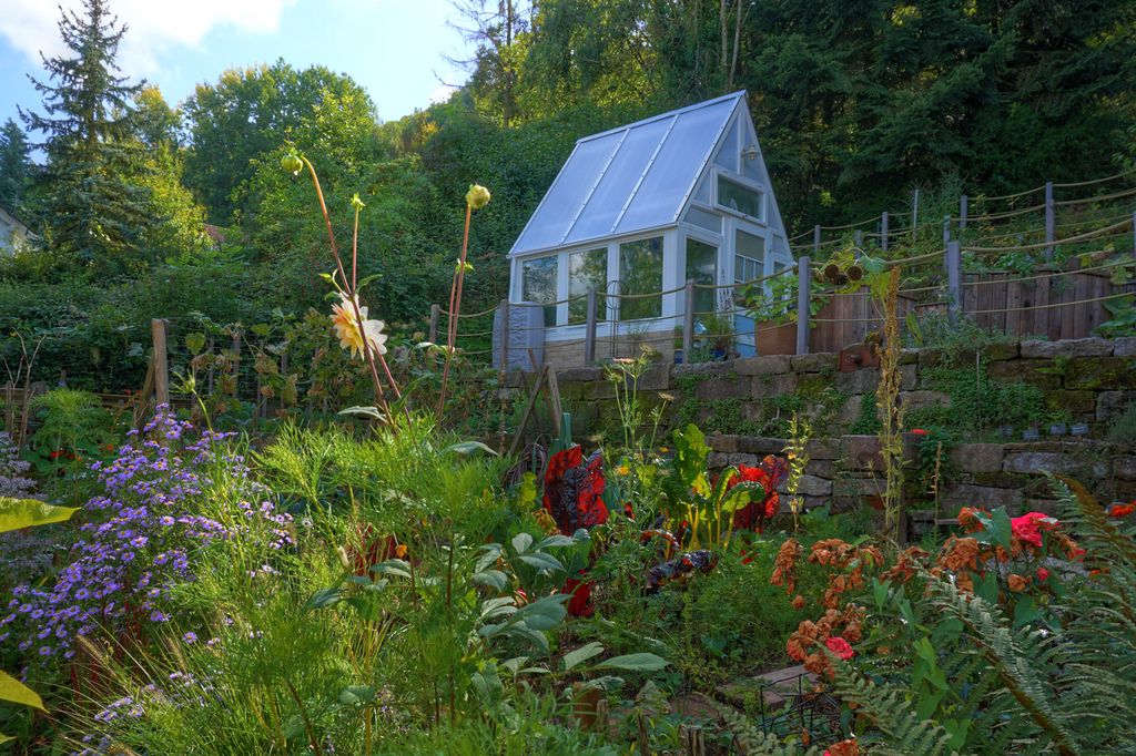 Gewächshaus im Garten bei grove.eco