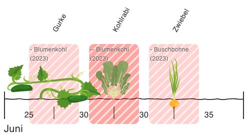 Negativbeispiel einer missglückten Fruchtfolge.