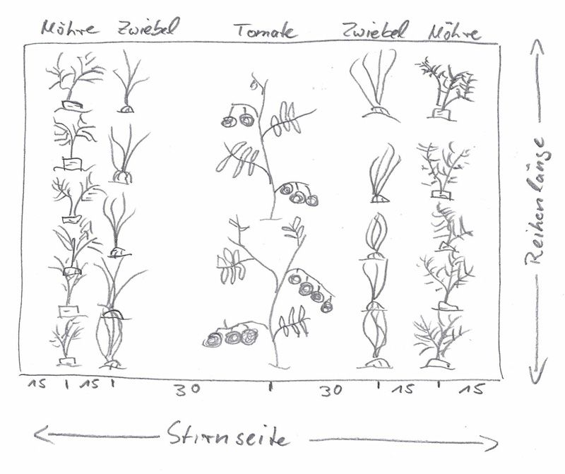 Zeichnung eines Beets von oben