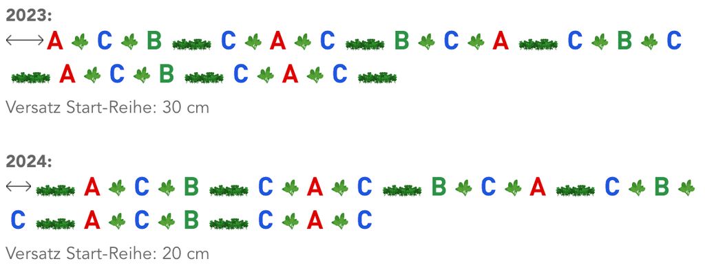 Jahreswechsel bei der Reihenmischkultur nach Fam. Langerhorst